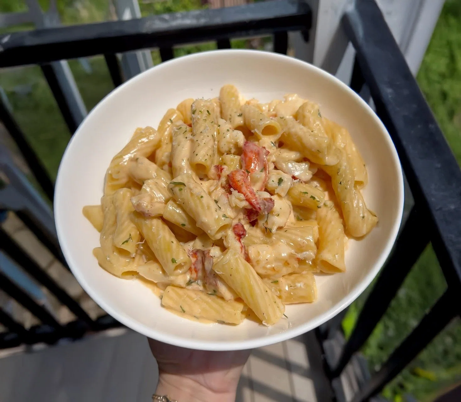 Lobster Alfredo Pasta