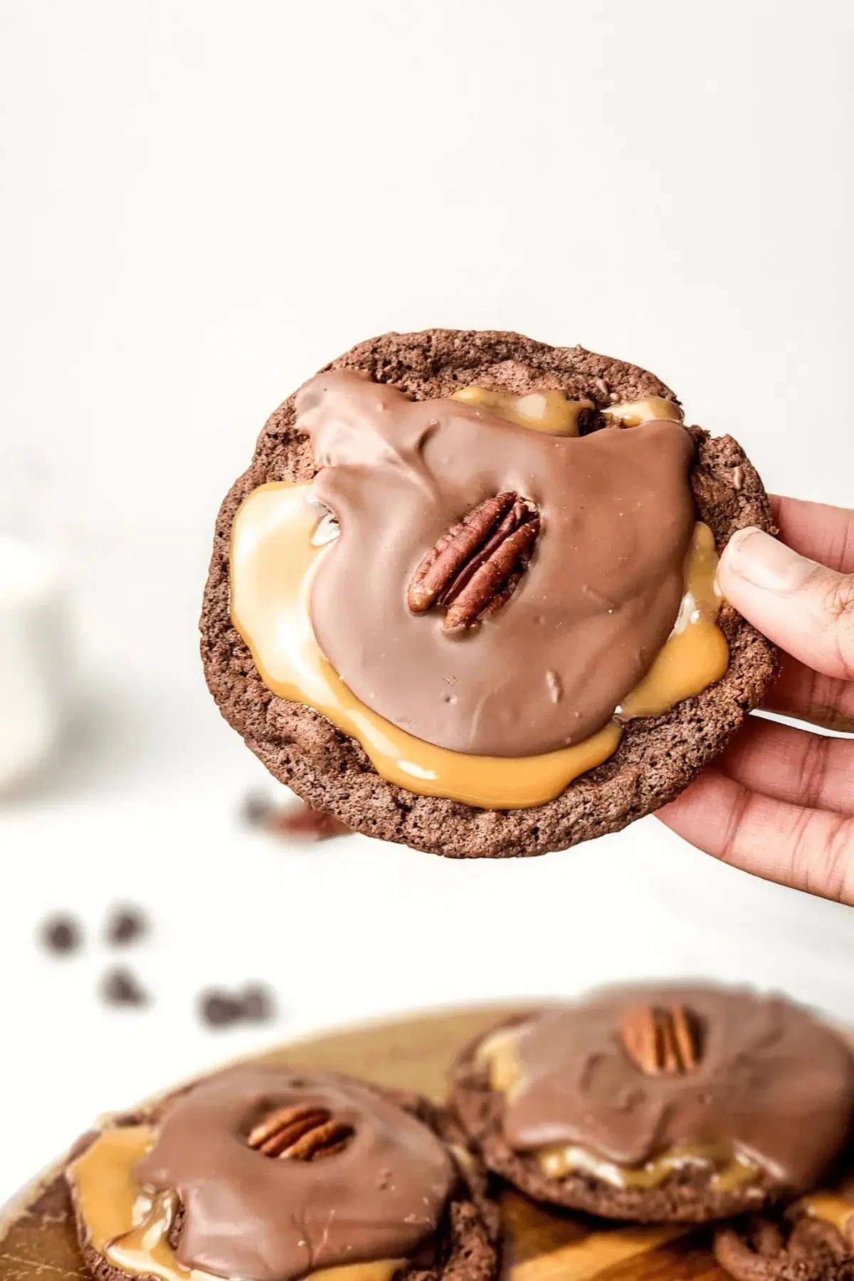 Turtle Cookies