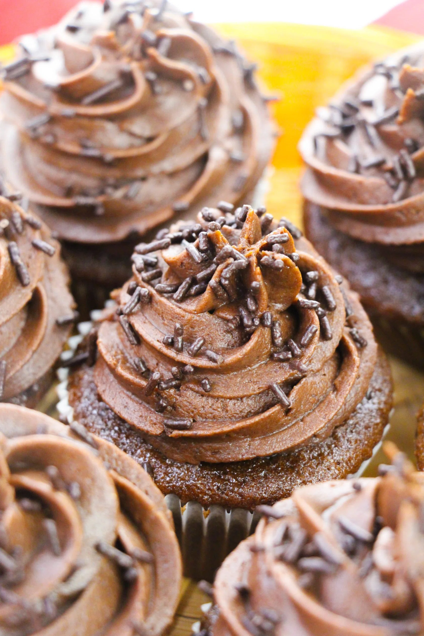 Chocolate Frosted Cupcakes