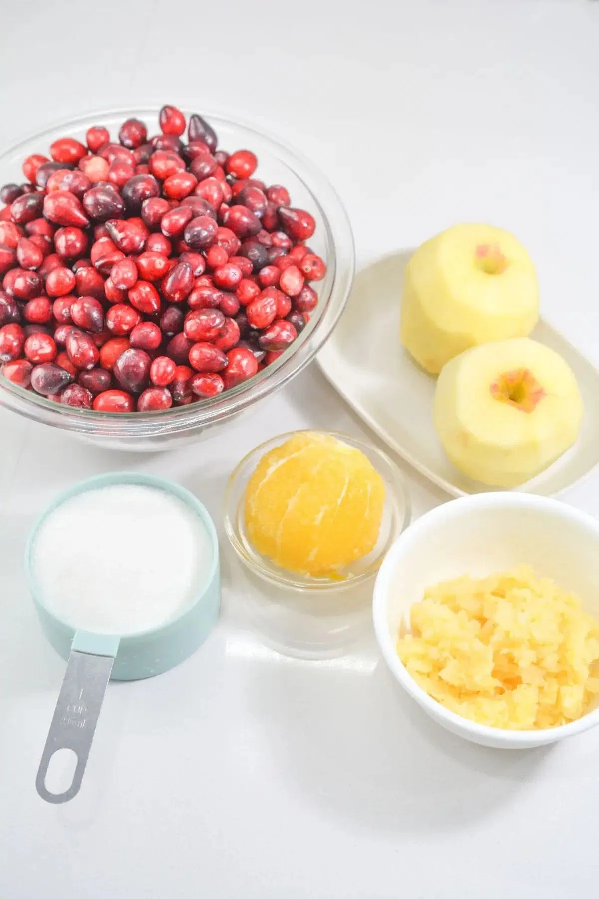 Ocean Spray Cranberry Relish