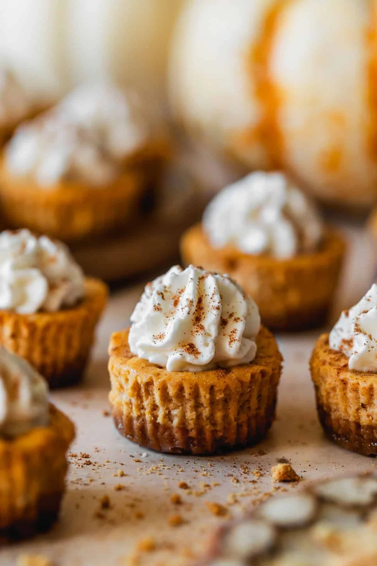 Little Pumpkin Spice Cheesecake Bites