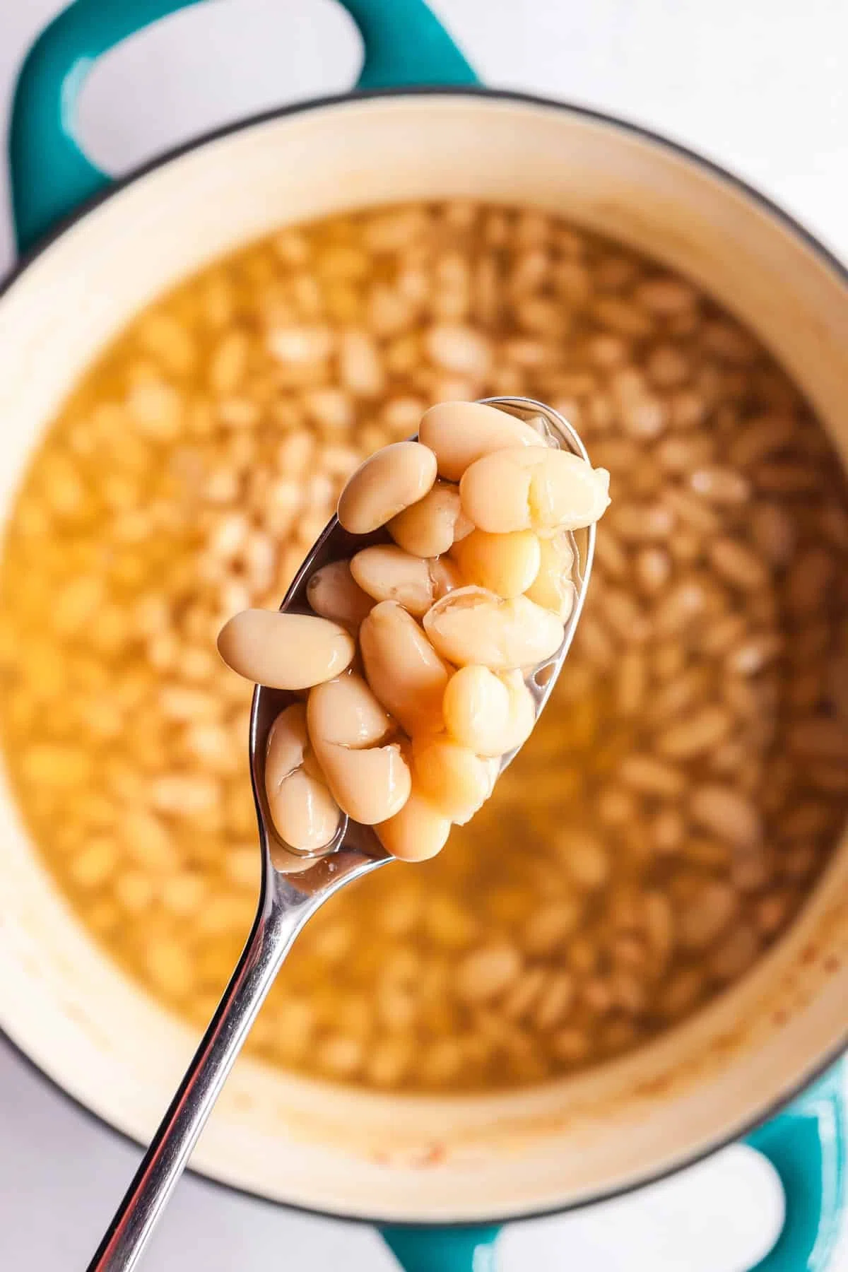 White Bean Chicken Chili
