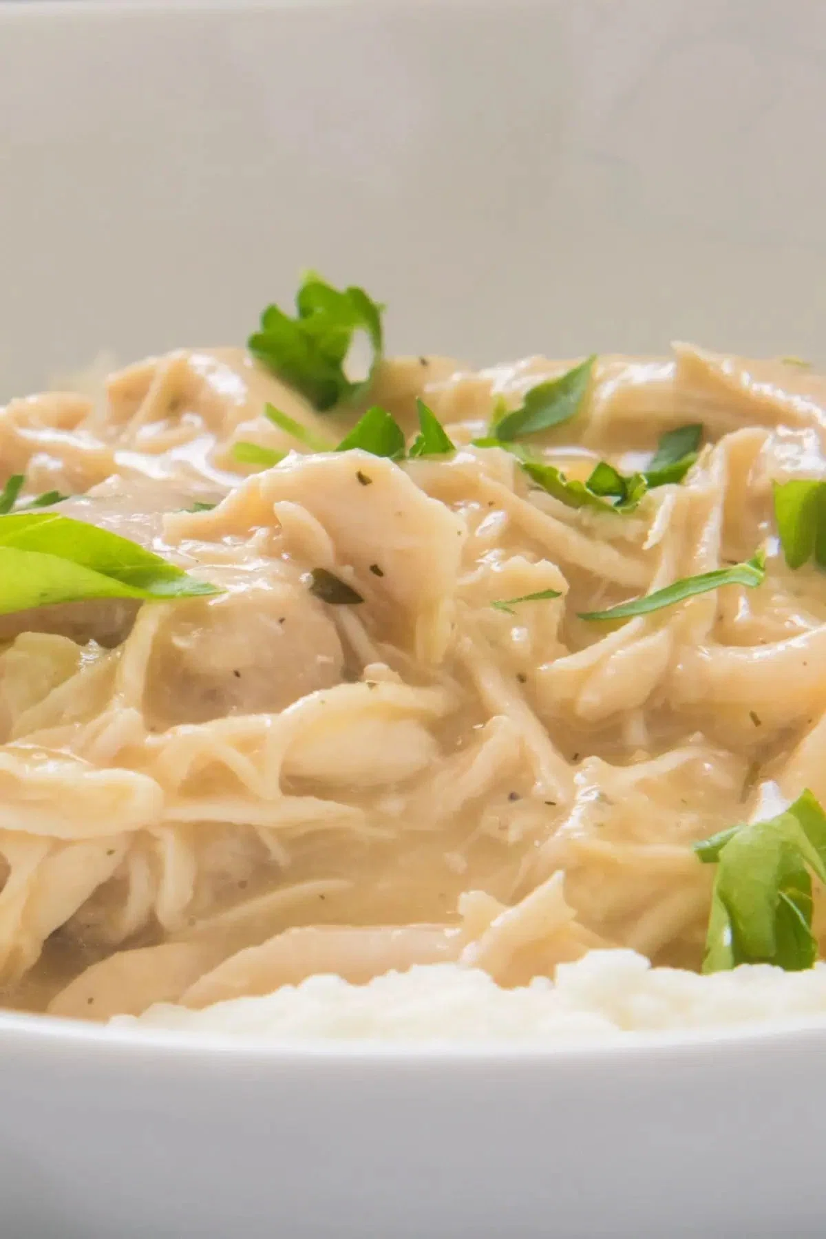 Slow Cooker Chicken and Gravy