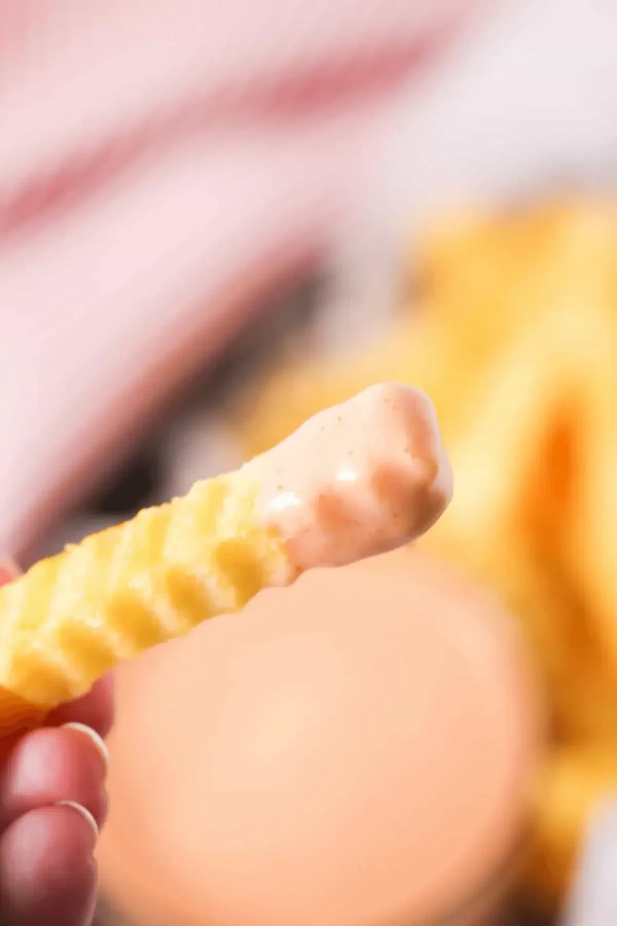 French Fry Sauce