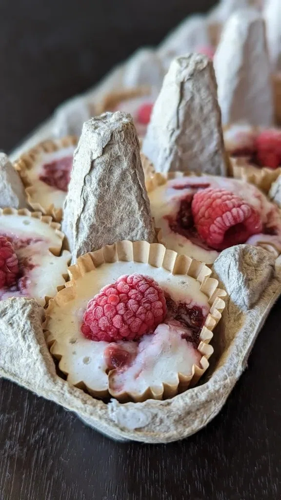 Frozen Raspberry Cottage Cheese Bites