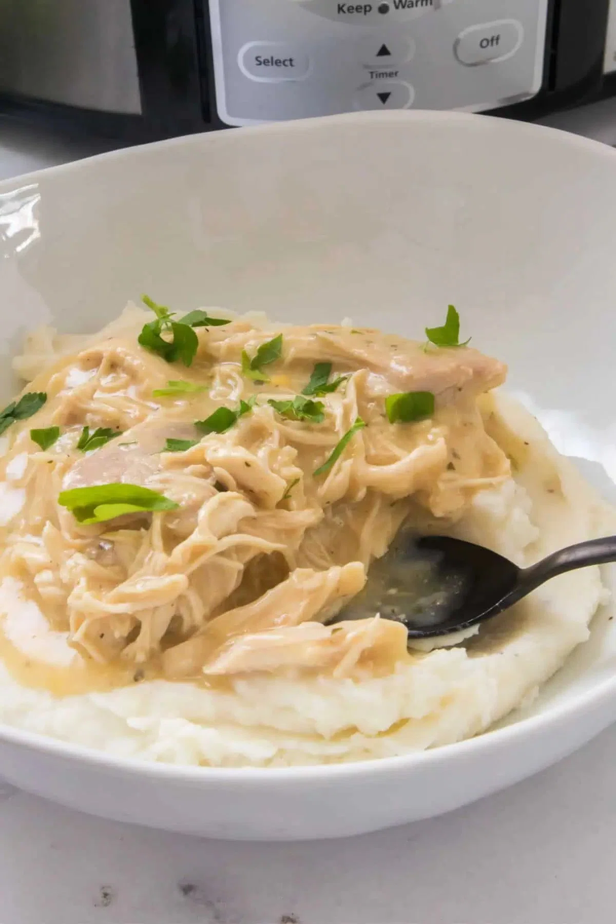 Slow Cooker Chicken and Gravy