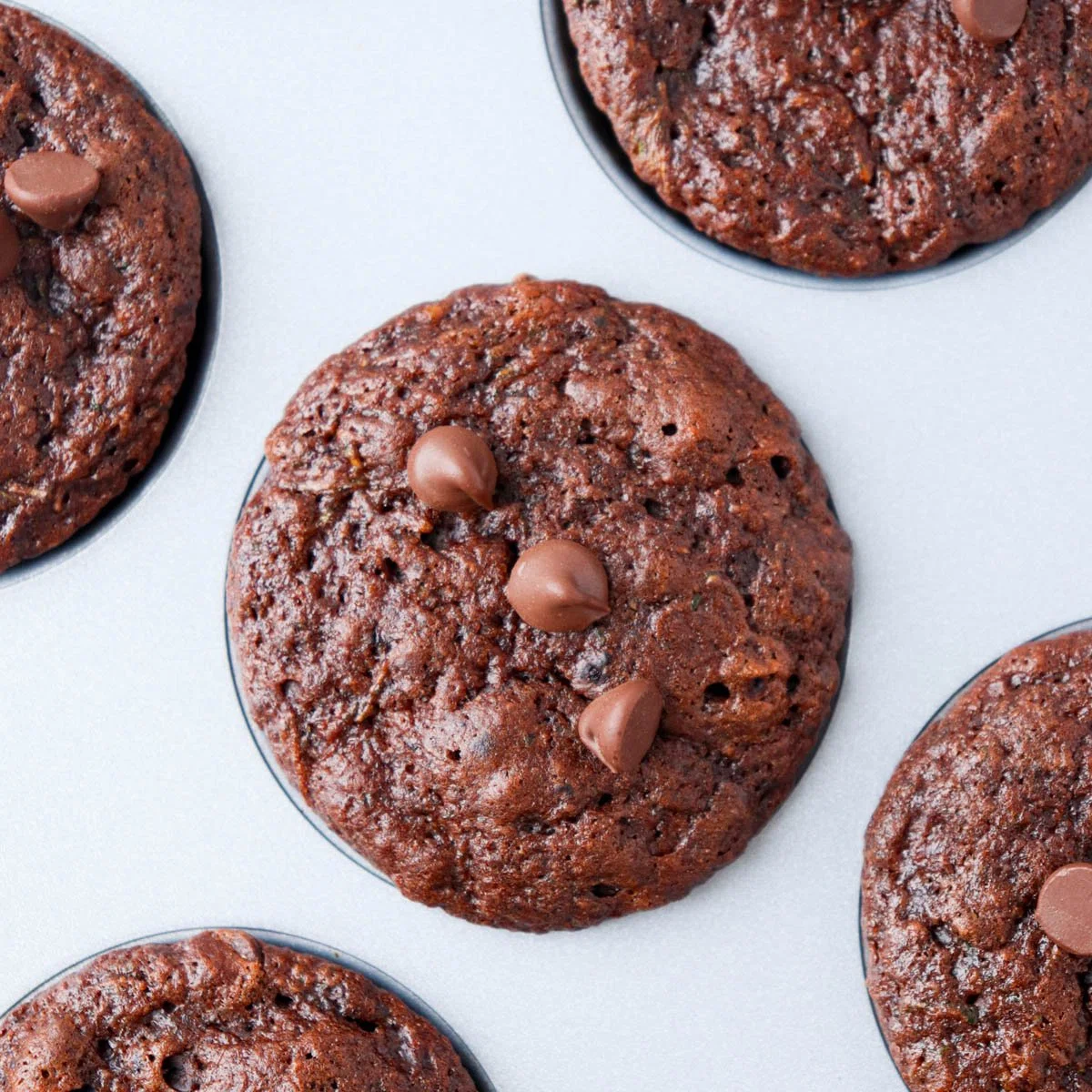 Double Chocolate Zucchini Muffins