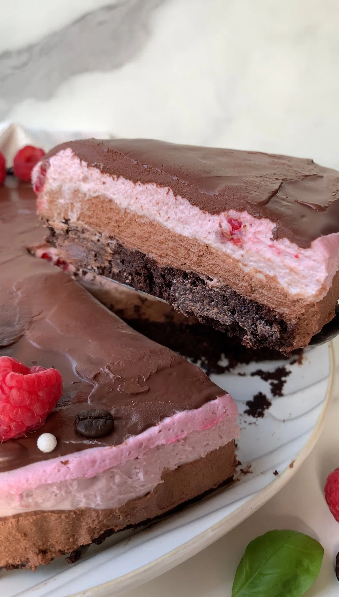 Raspberry Mocha Mousse Cake