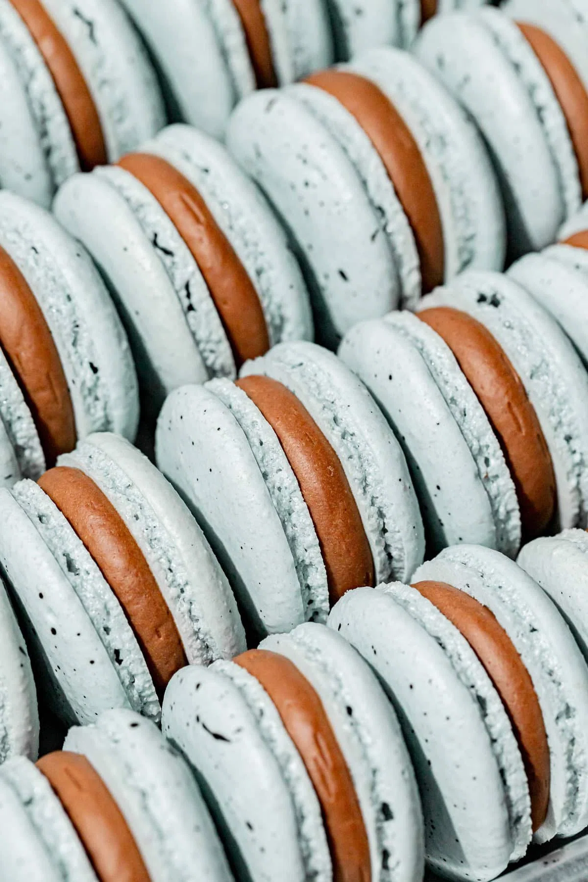 Robin's Egg Macarons