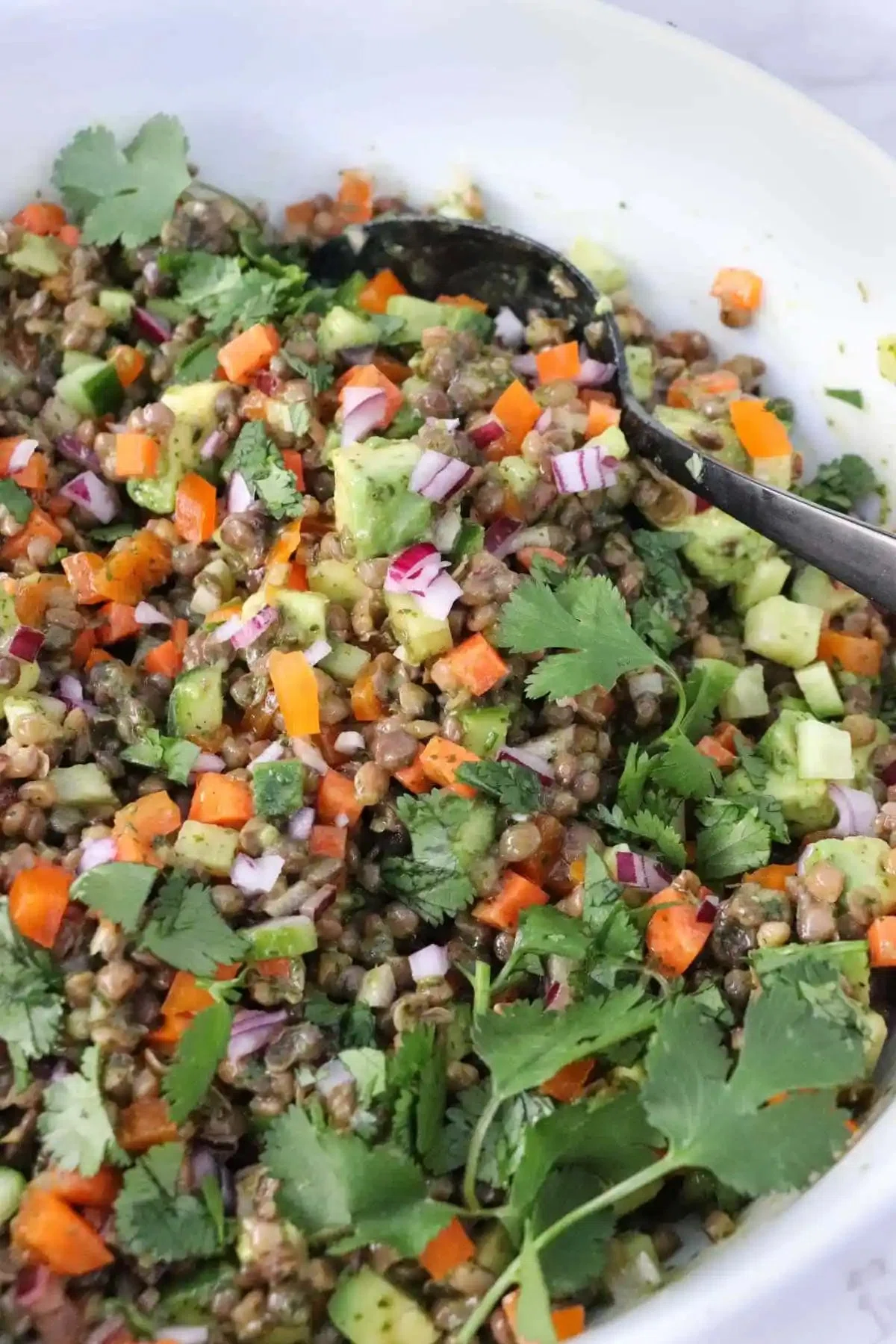 Easy Cold Lentil Salad with Cilantro Curry Vinaigrette