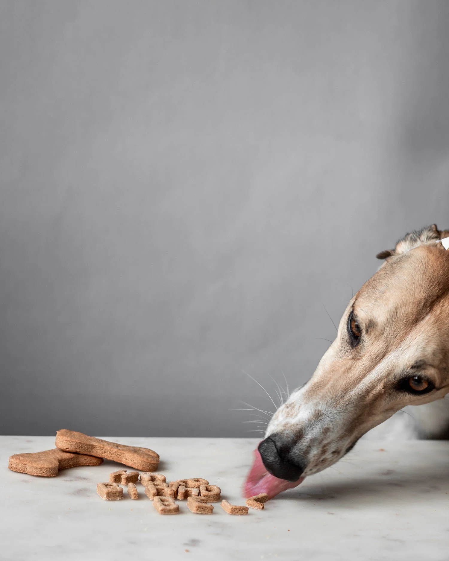 Homemade Peanut Butter Dog Cookies
