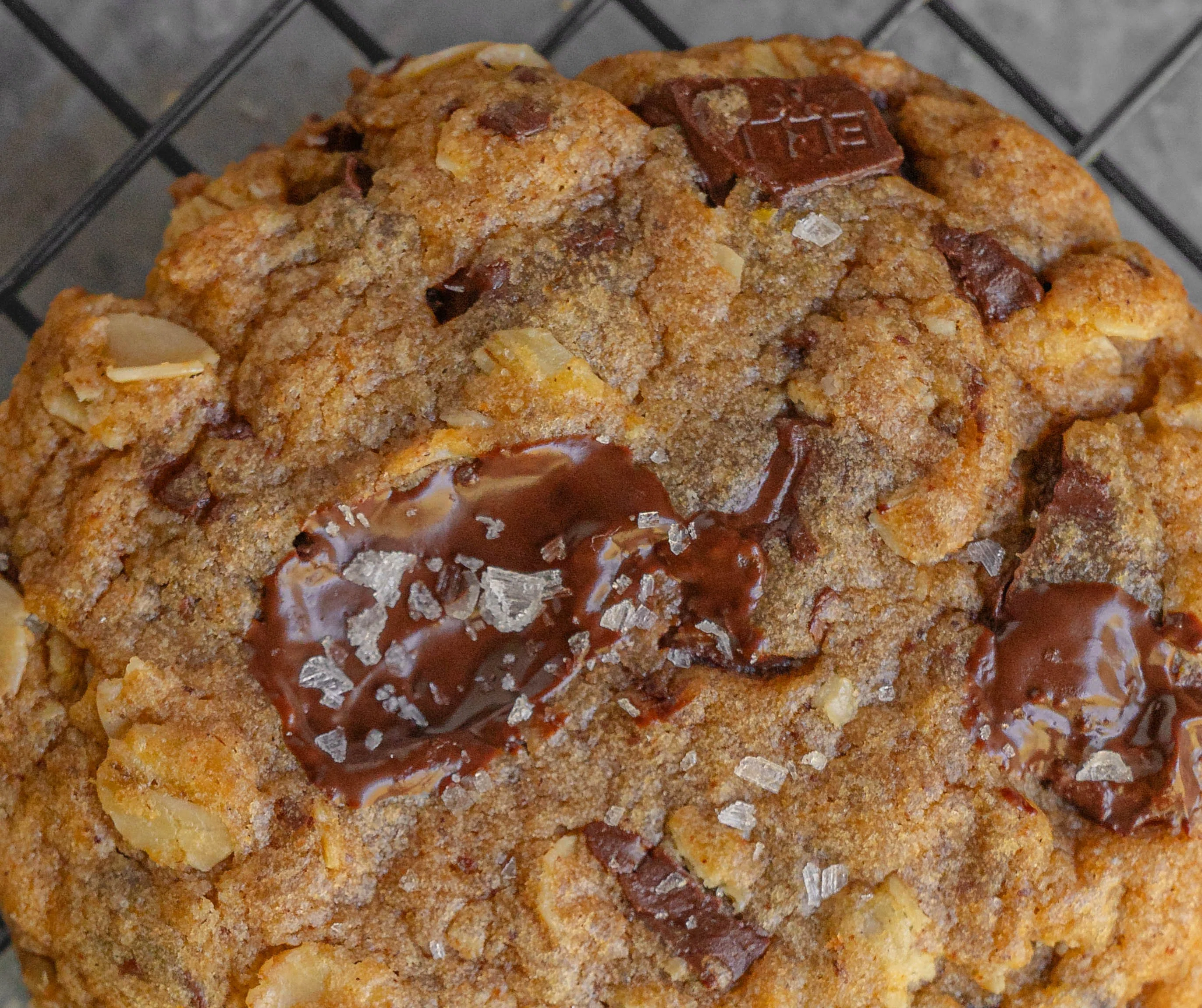 Pumpkin Chocolate Chip Oatmeal Cookies