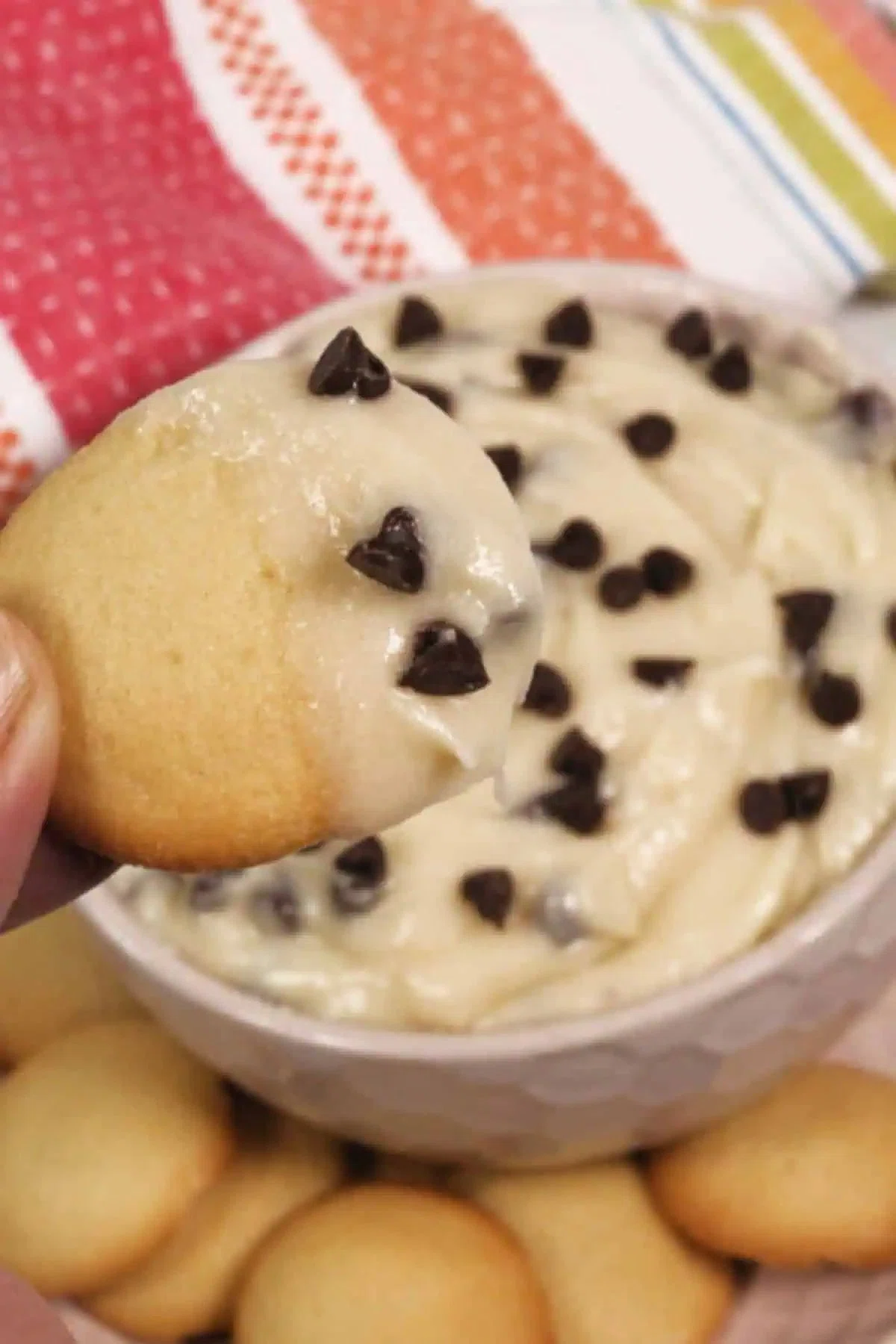 5-Minute Chocolate Chip Dip