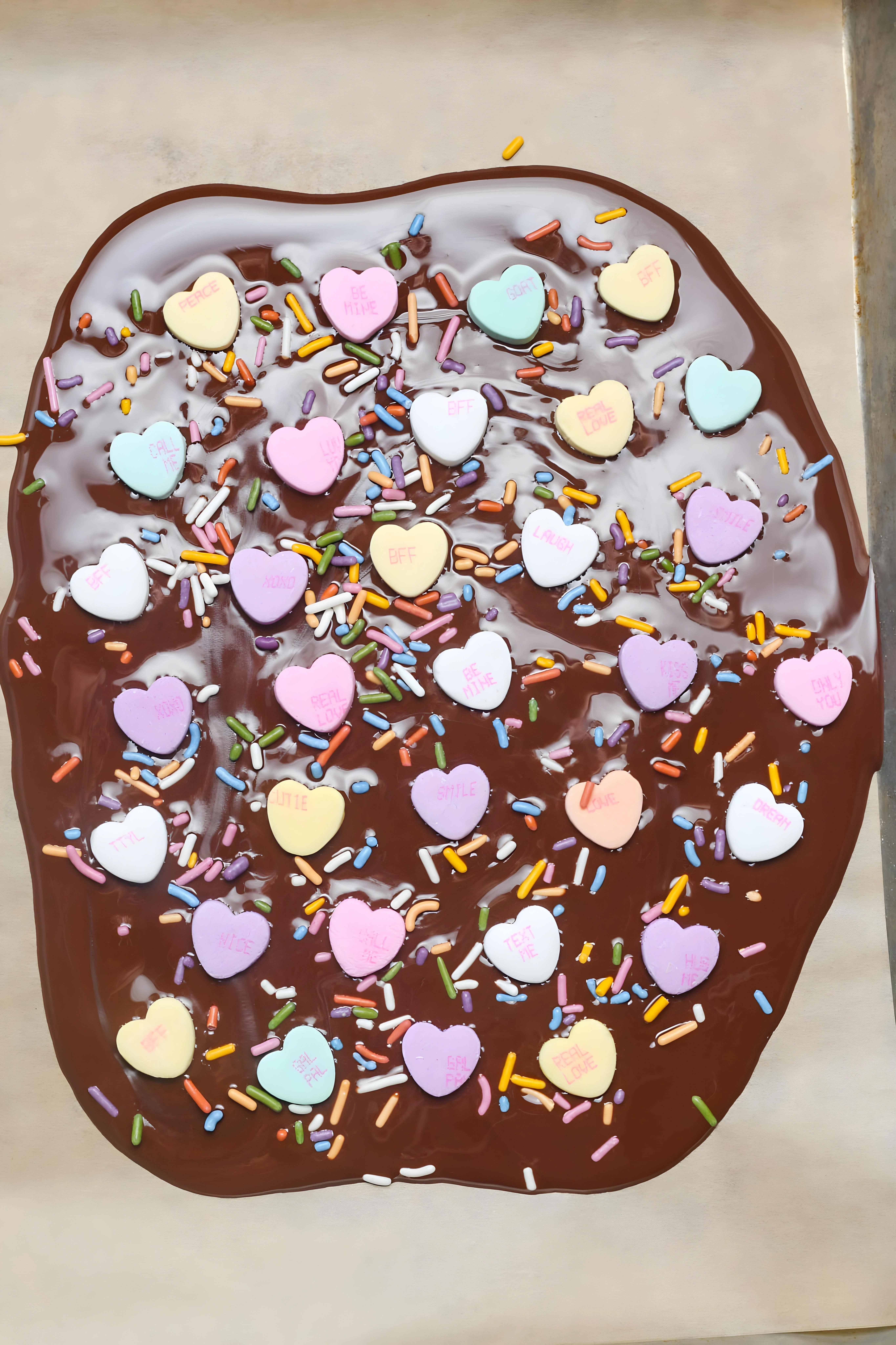 Valentine's Bark