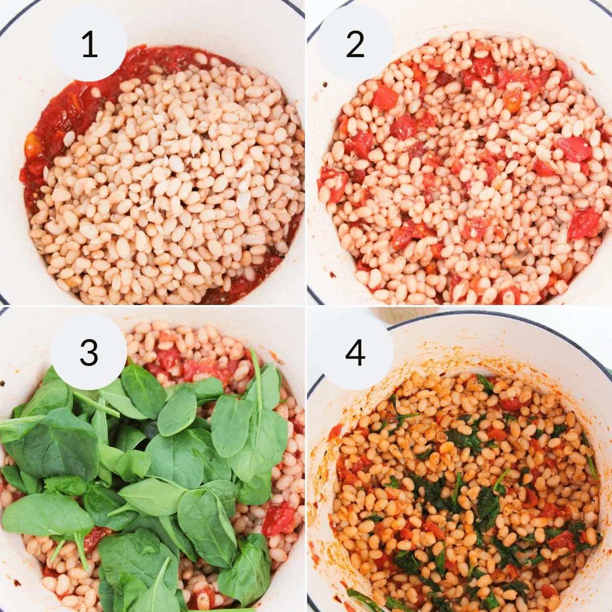 Italian White Beans