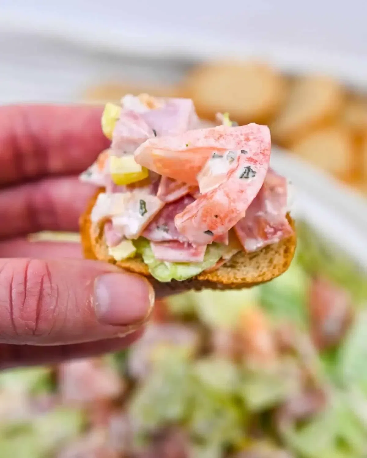 Italian Hoagie Dip