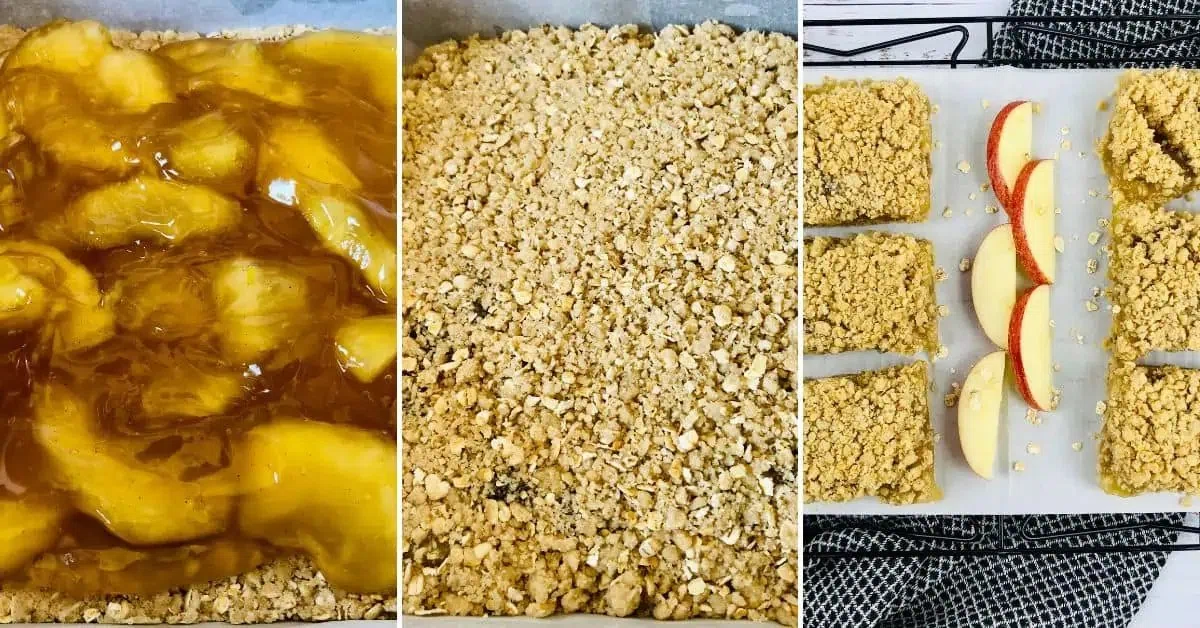 Apple Oatmeal Bars