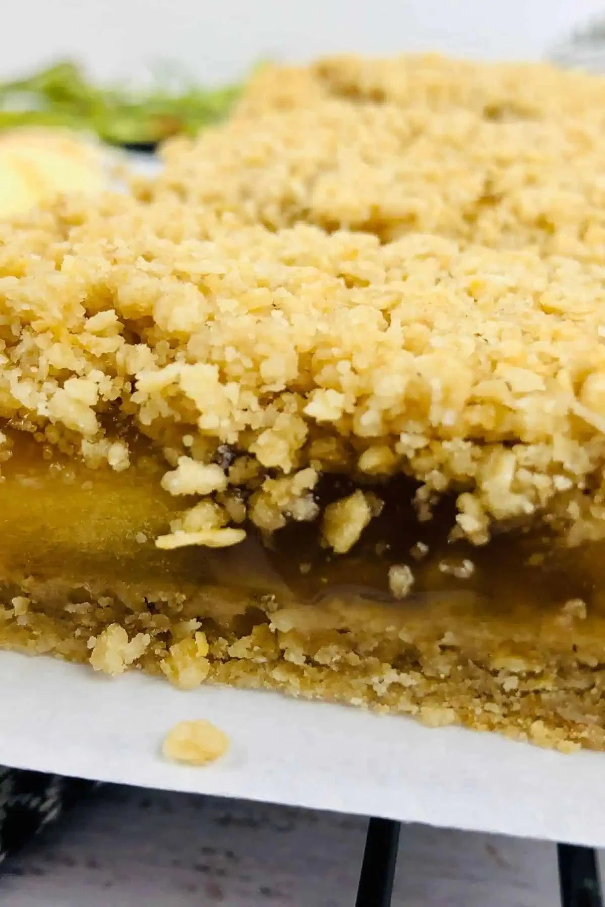 Apple Oatmeal Bars