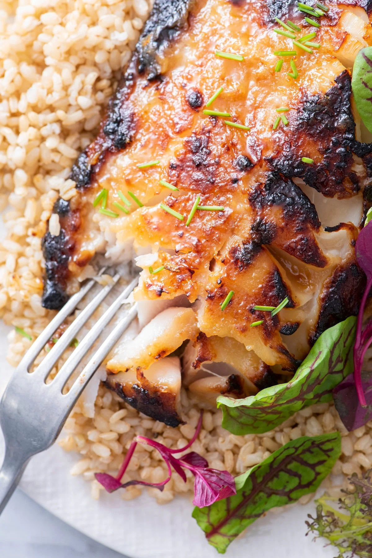 Miso Marinated Fish