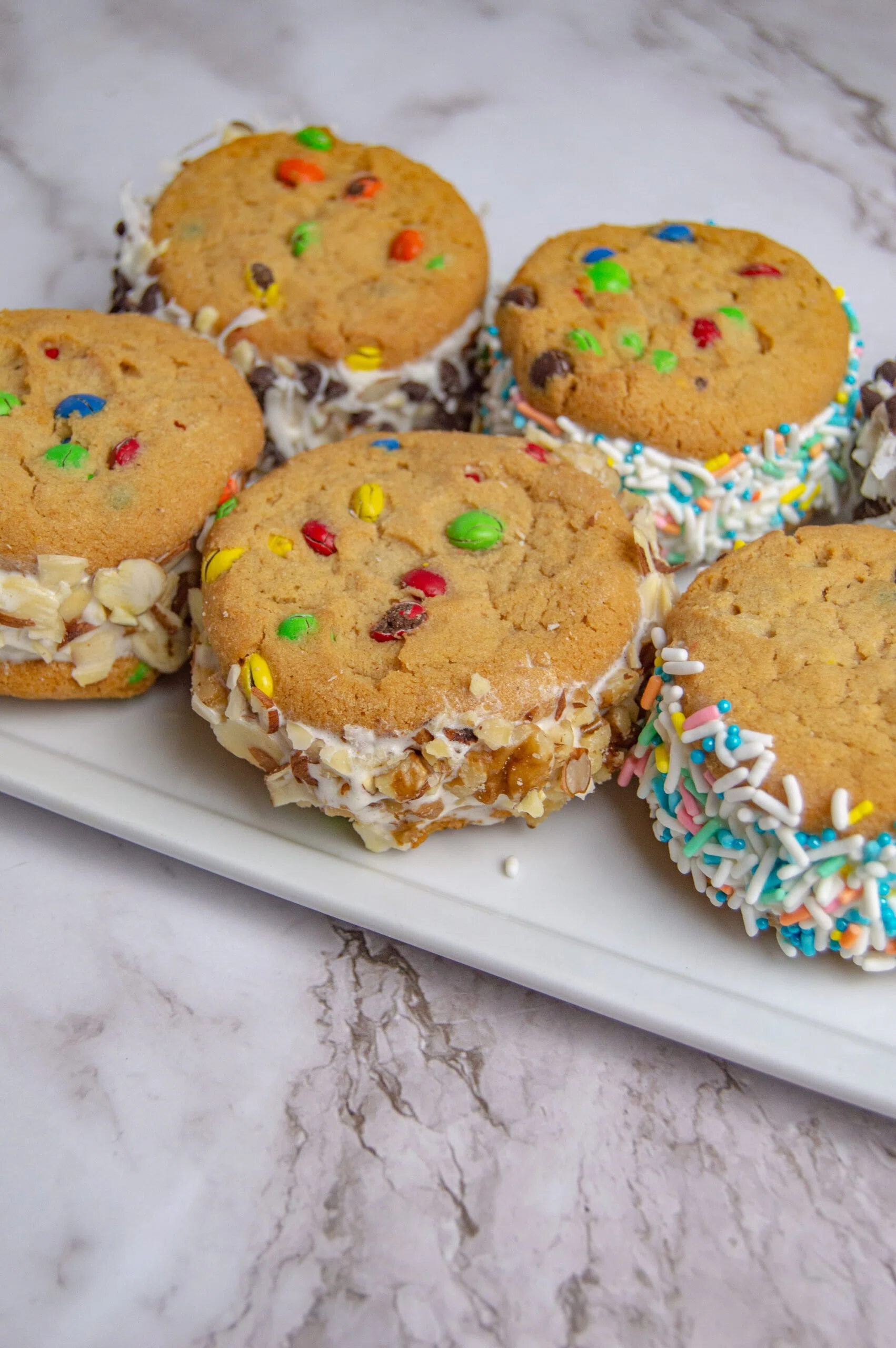 Homemade Ice Cream Sandwiches