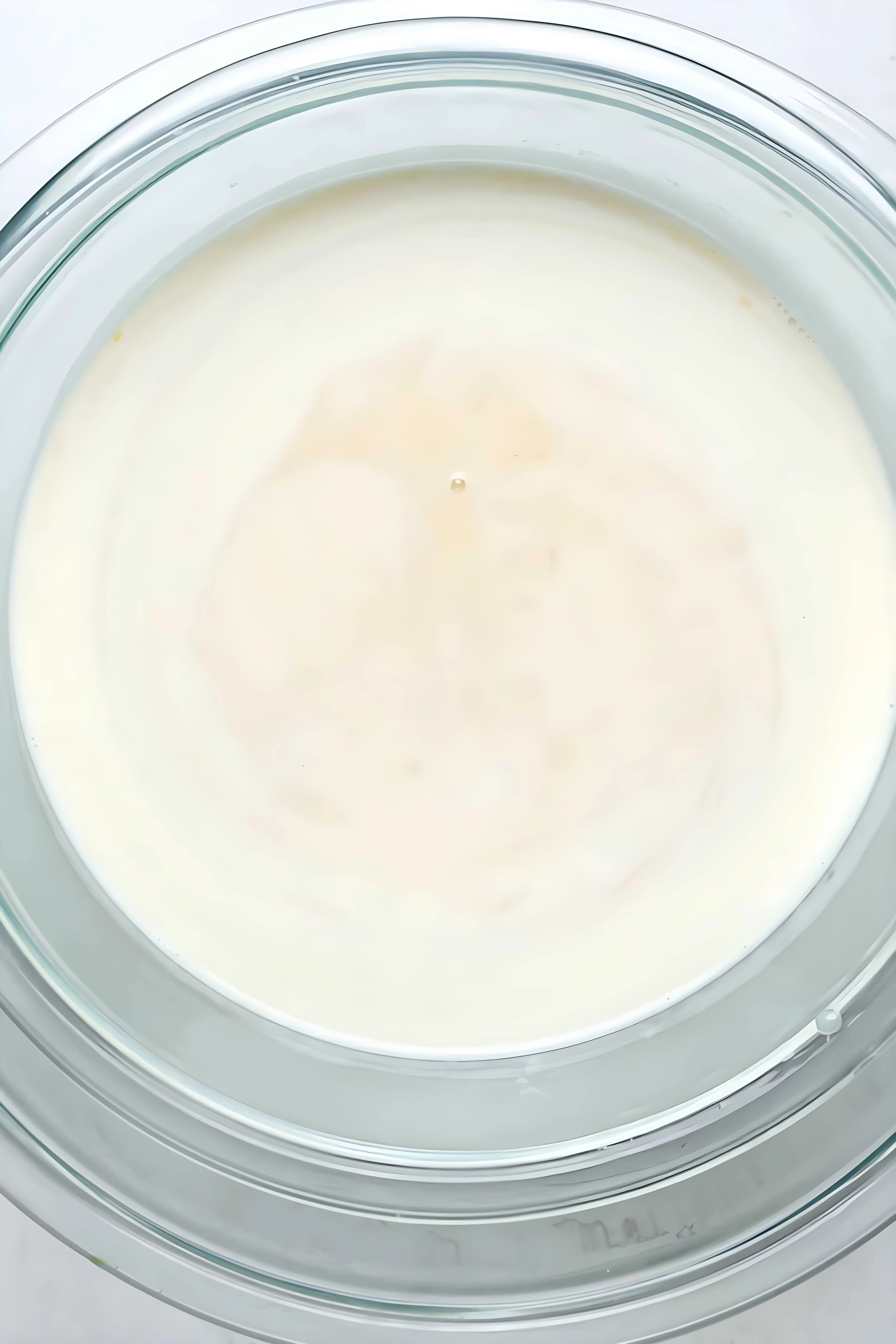 Butter Pecan Ice Cream