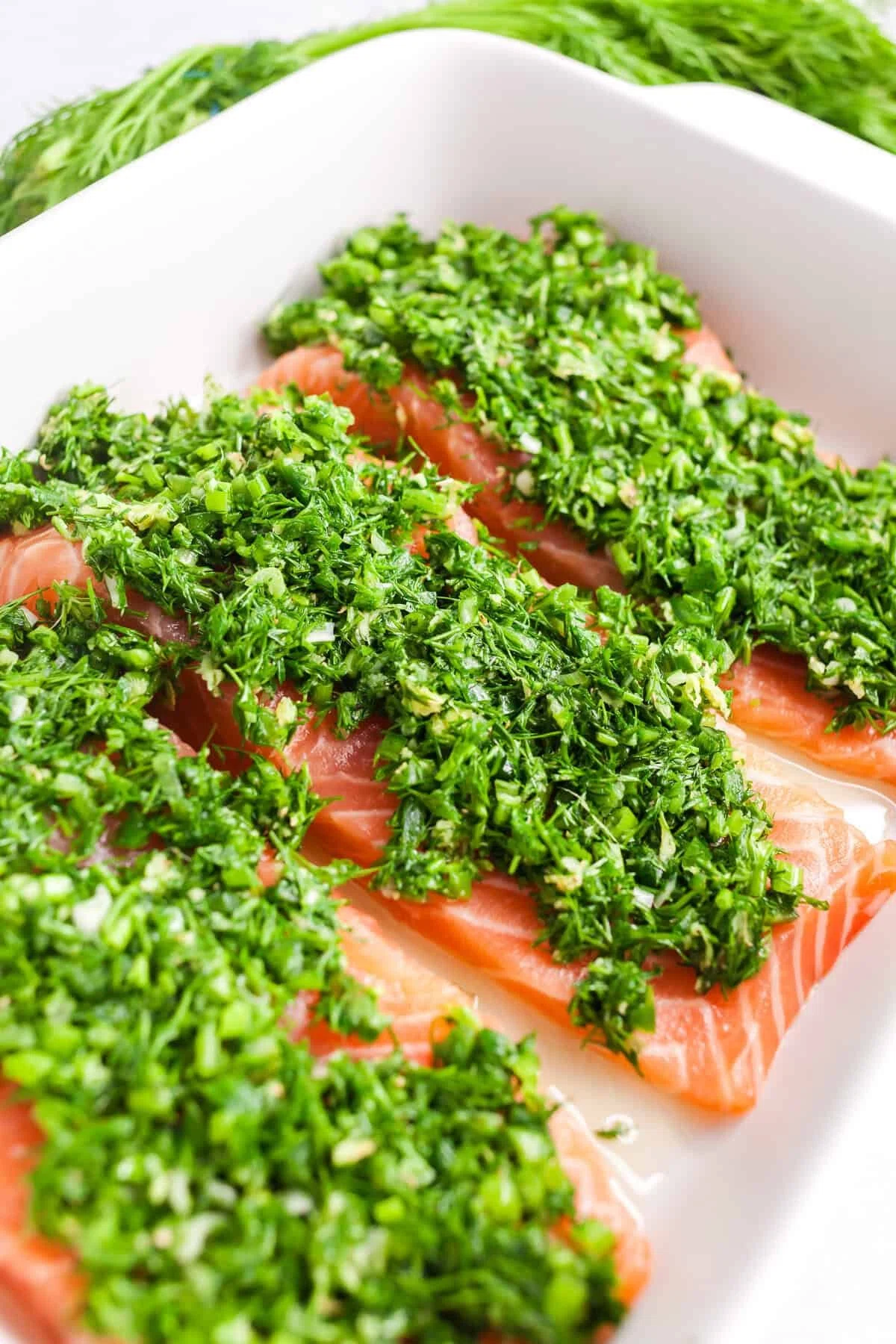 Ginger Dill Salmon
