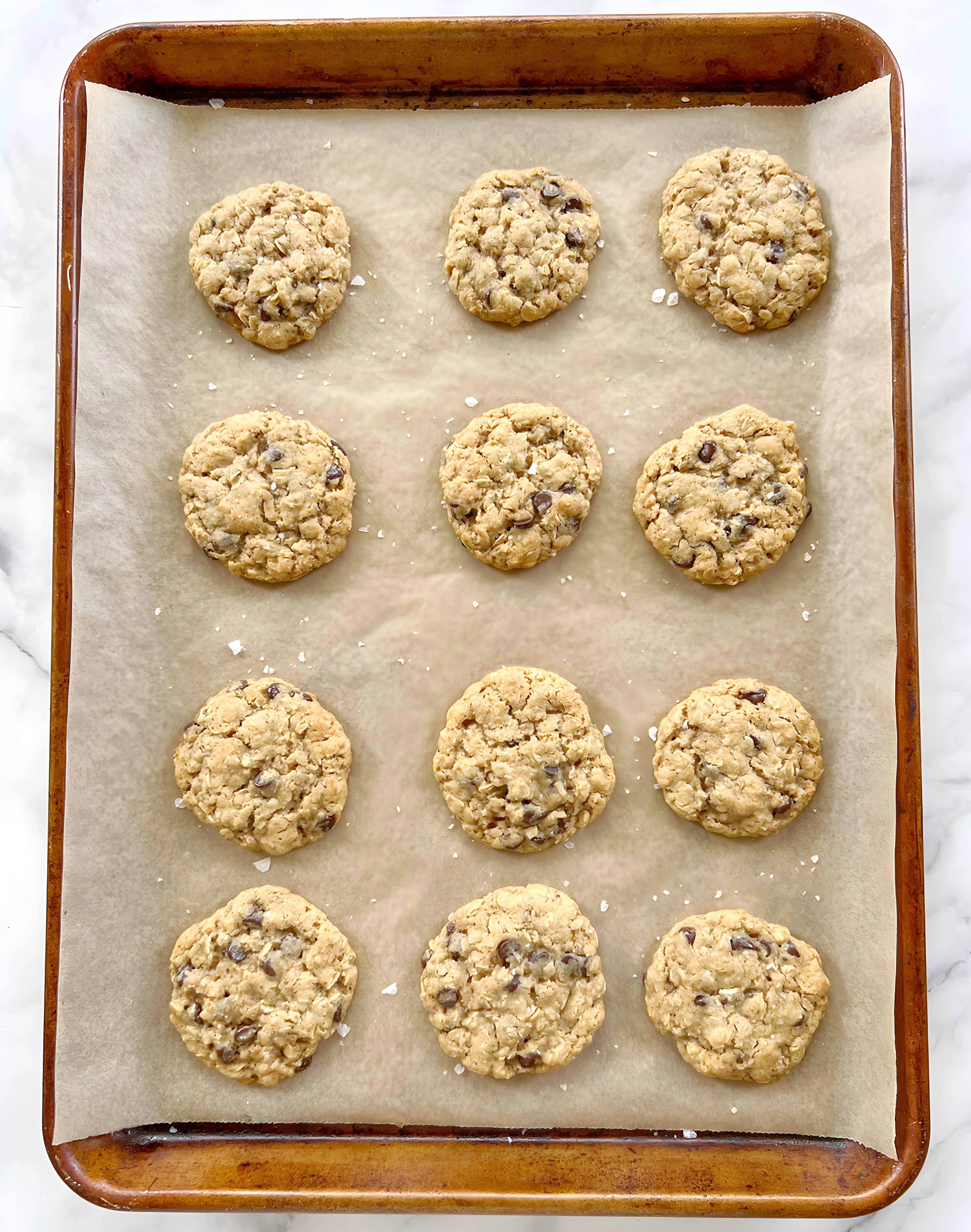 Vegan Oatmeal Chocolate Chip Cookies