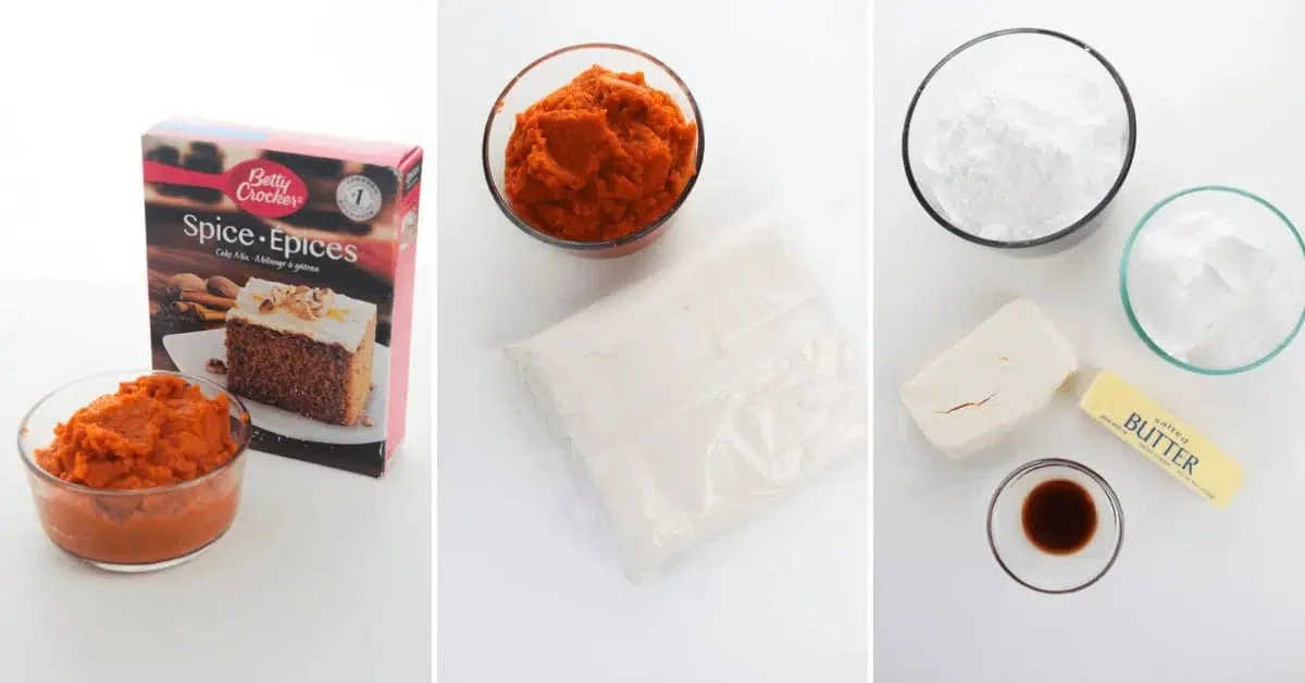 2 Ingredient Pumpkin Spice Cake