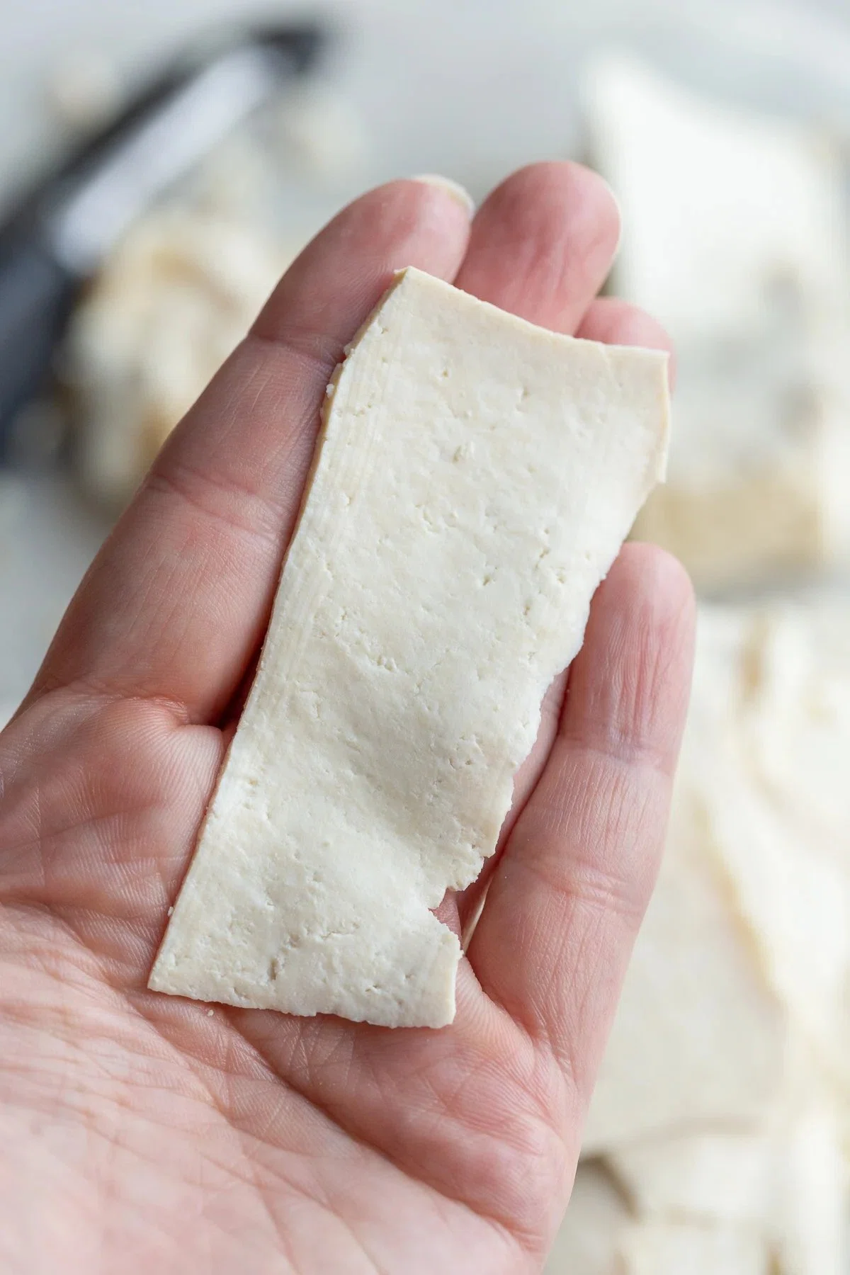 Tofu Lunch “Meat”