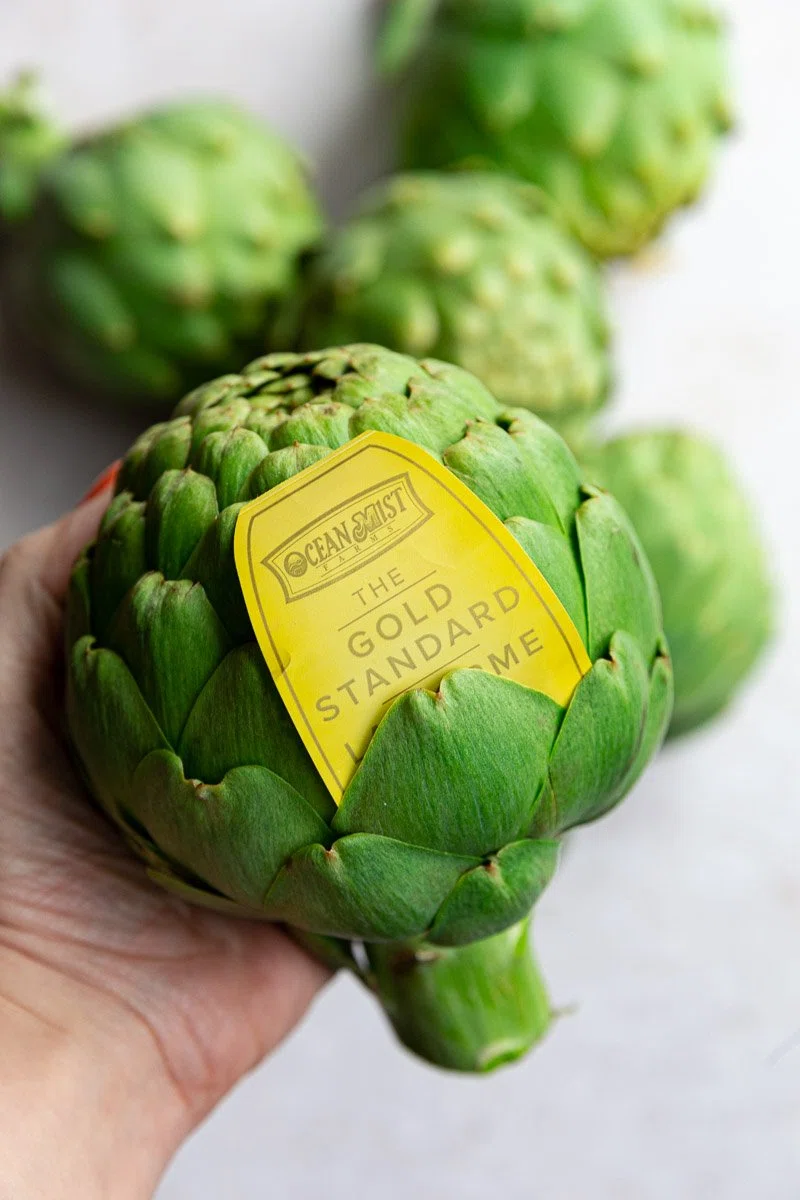 Roman Artichokes