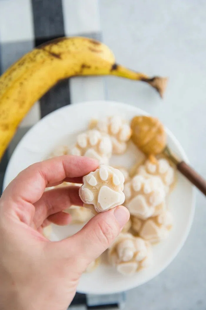Homemade Dog Ice Cream