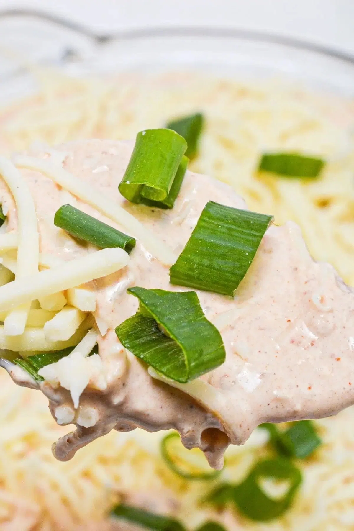 Salsa and Cream Cheese Dip