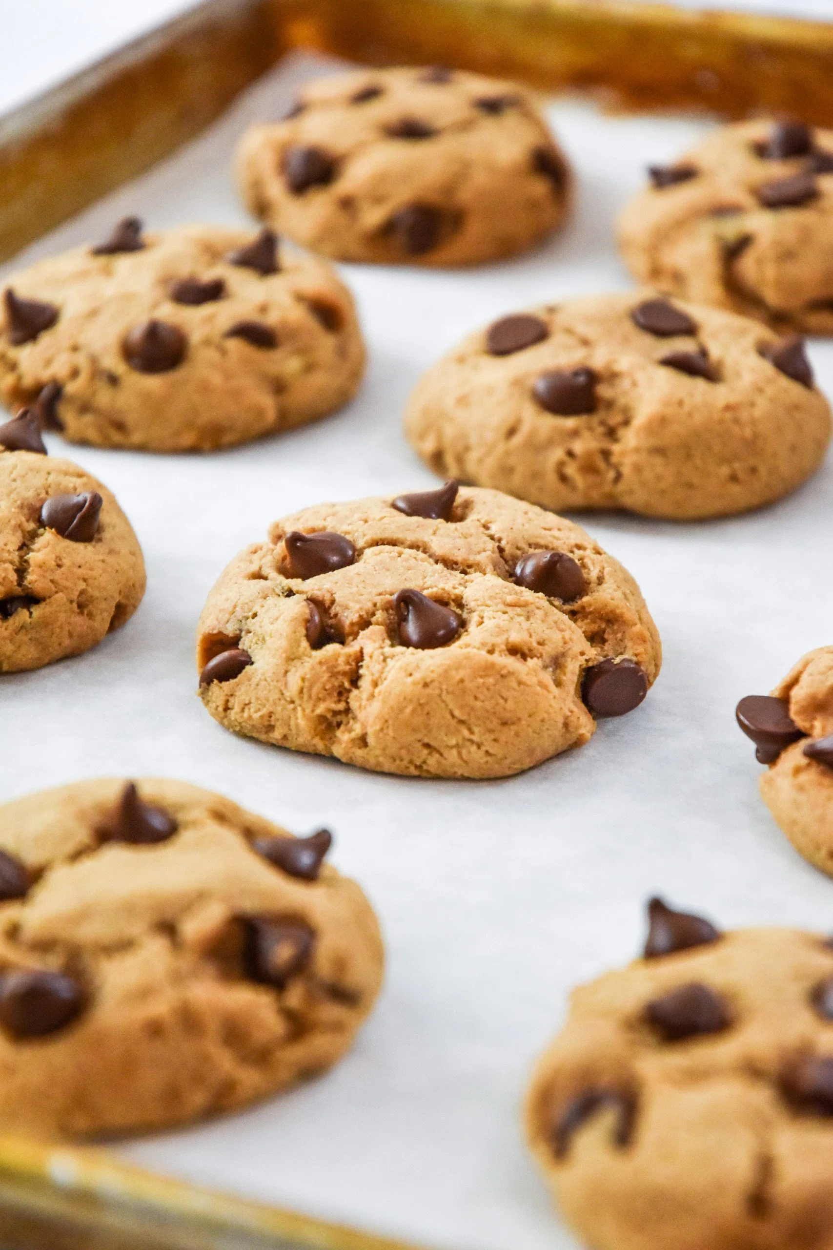 Chocolate Chip Pancake Mix Cookies