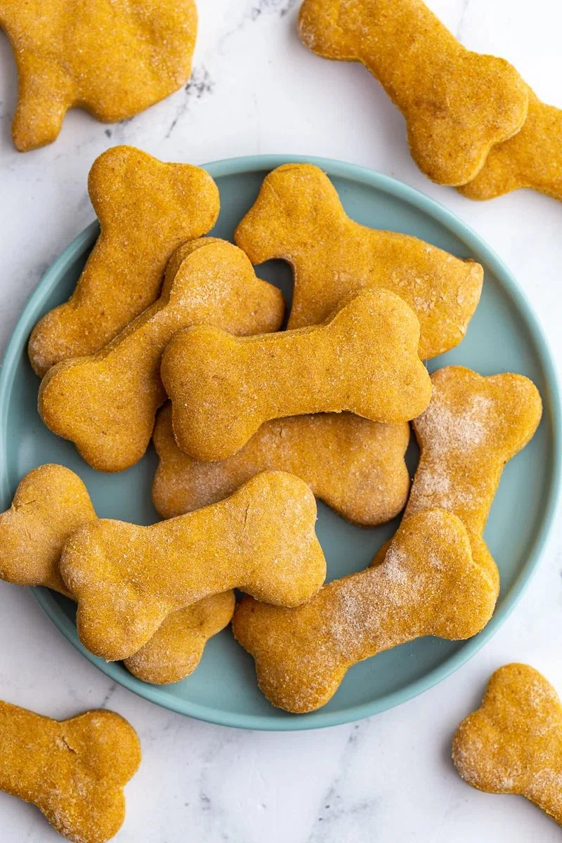 Pumpkin Dog Biscuits Recipe