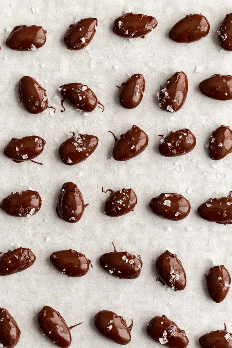 Chocolate Covered Almonds