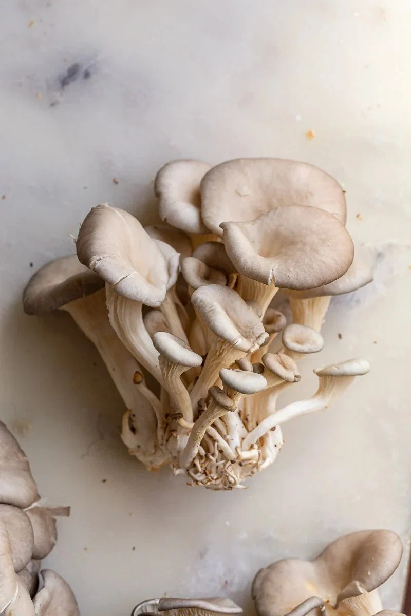 Garlic Butter Oyster Mushrooms
