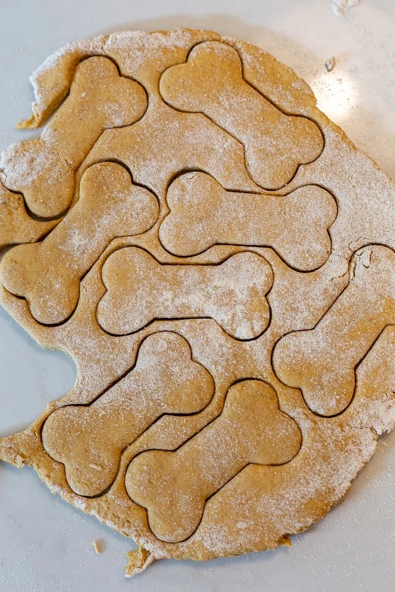 Pumpkin Dog Biscuits Recipe