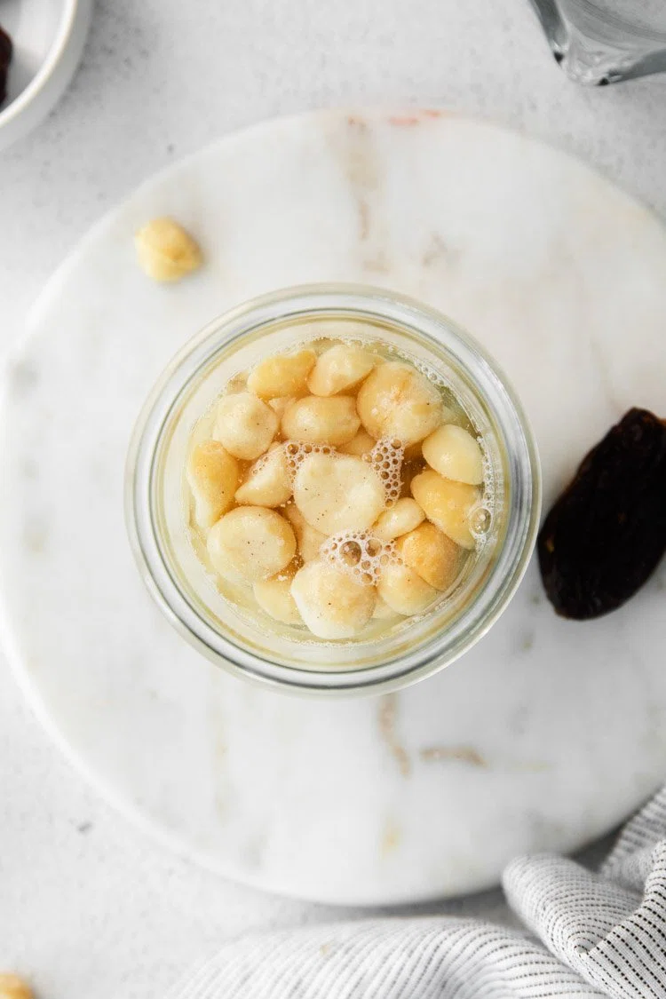 Macadamia Nut Milk