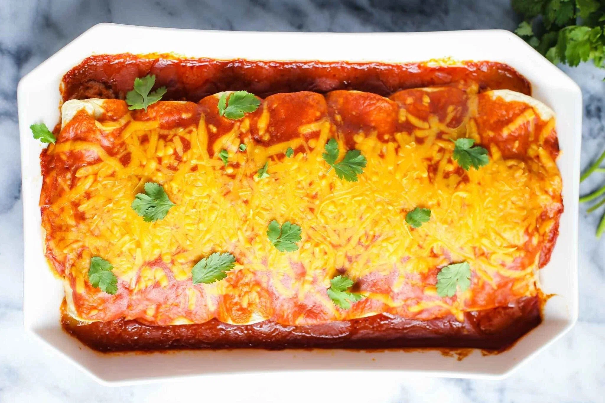 Veggie Vegan Enchiladas