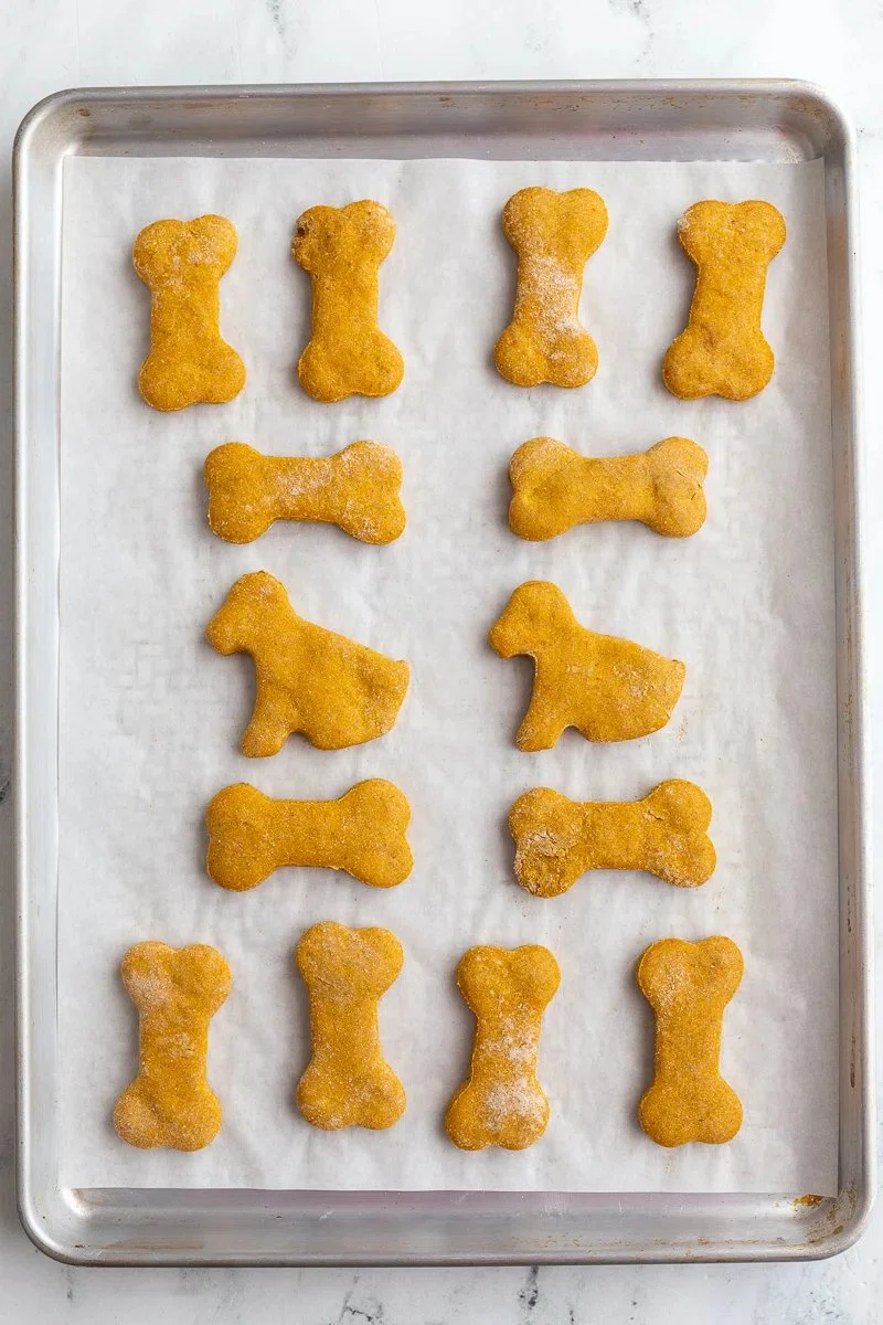 Pumpkin Dog Biscuits Recipe