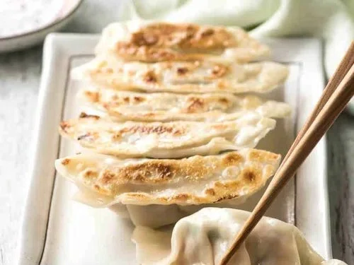 Japanese GYOZA (Dumplings)