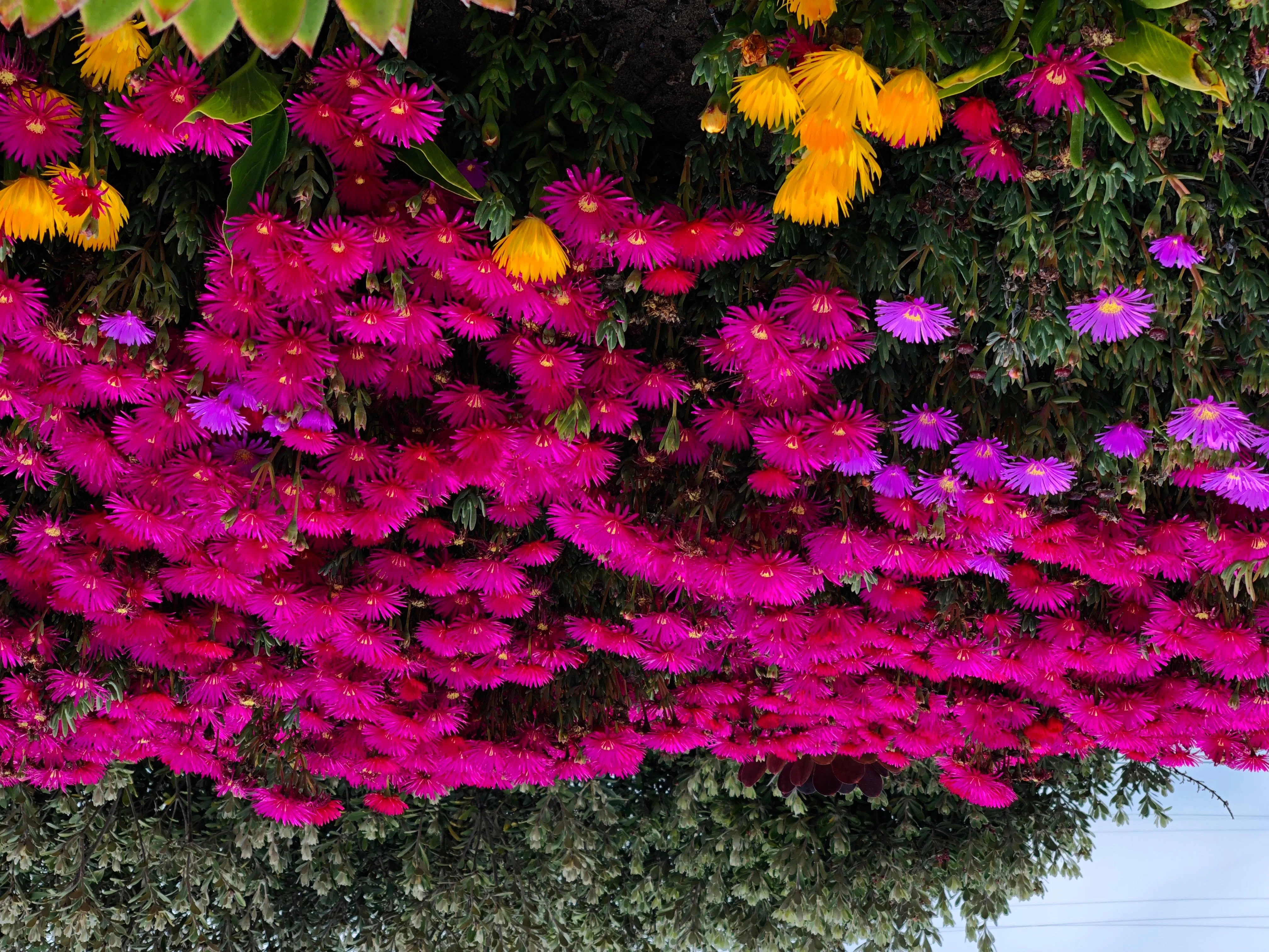 cmgy53s9v007bks70qmphcdrp