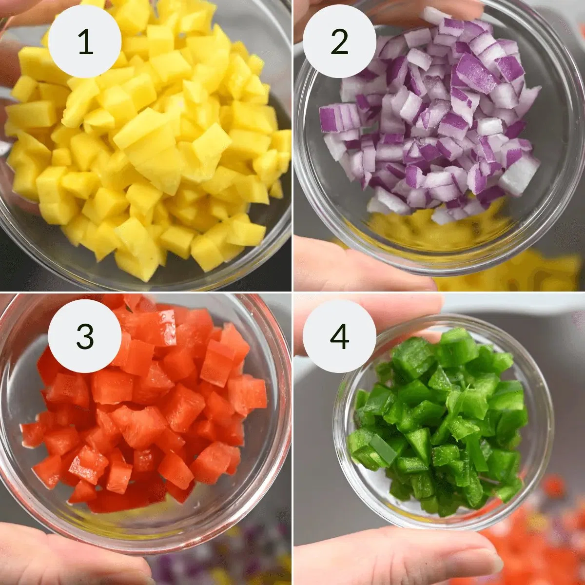Mango Habanero Salsa