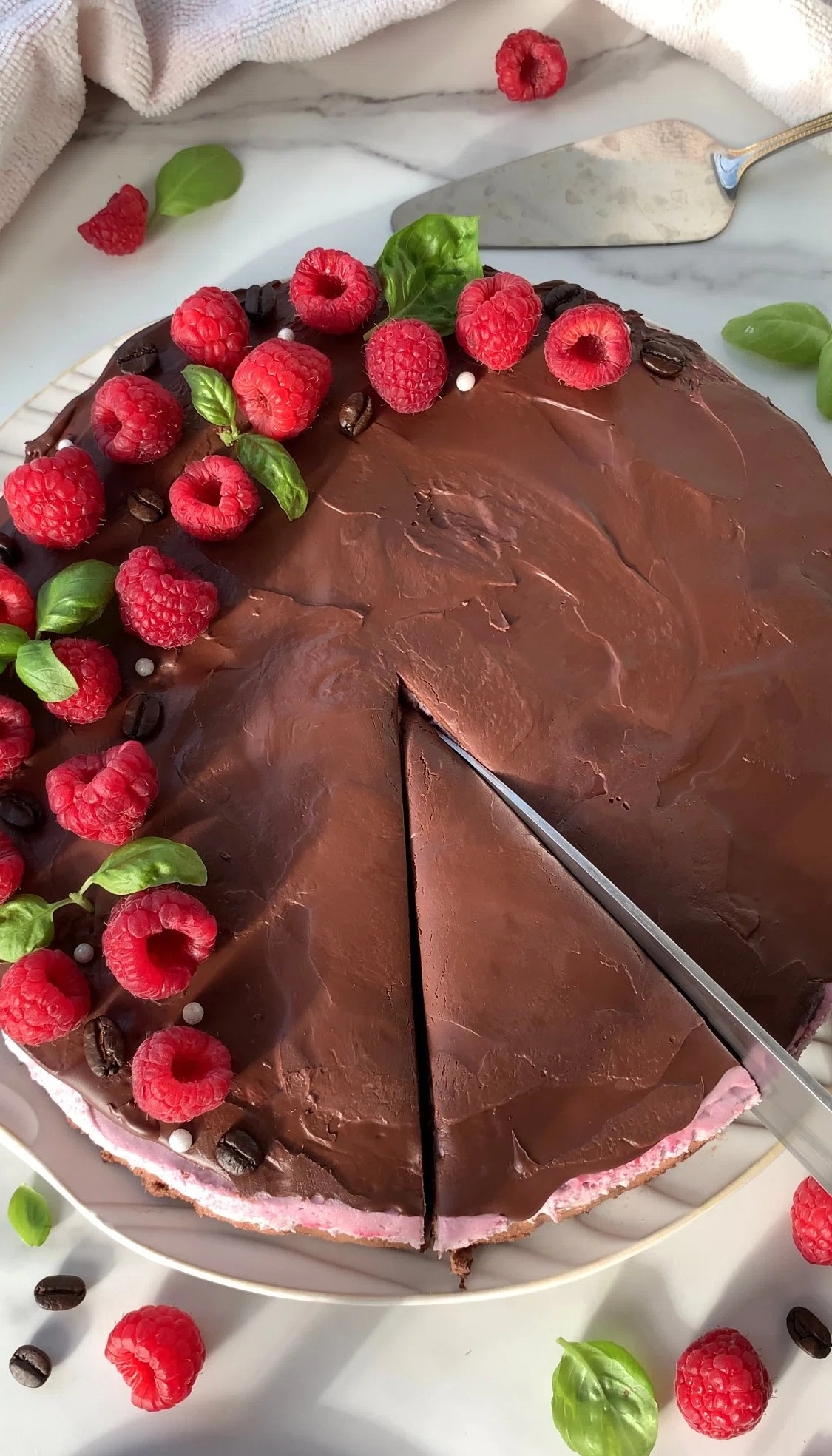 Raspberry Mocha Mousse Cake