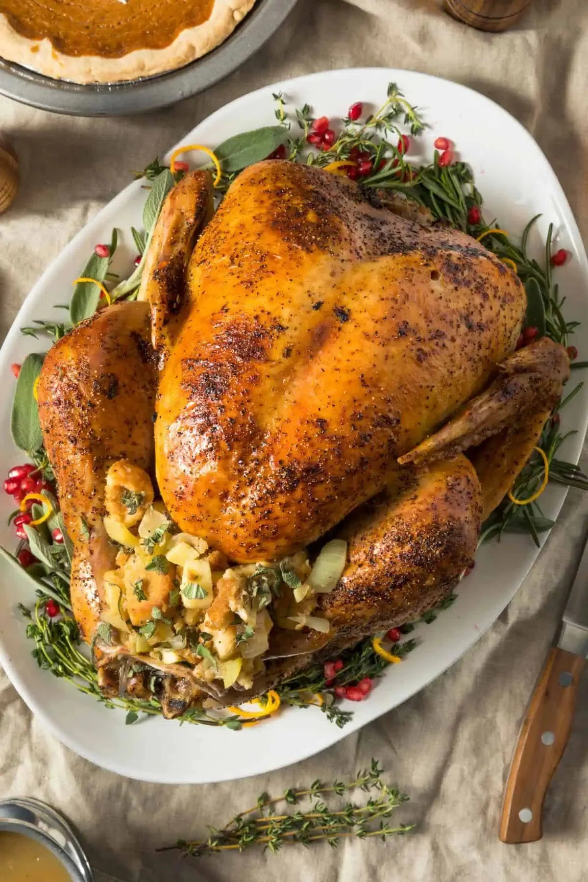 Turkey in the Roaster Oven