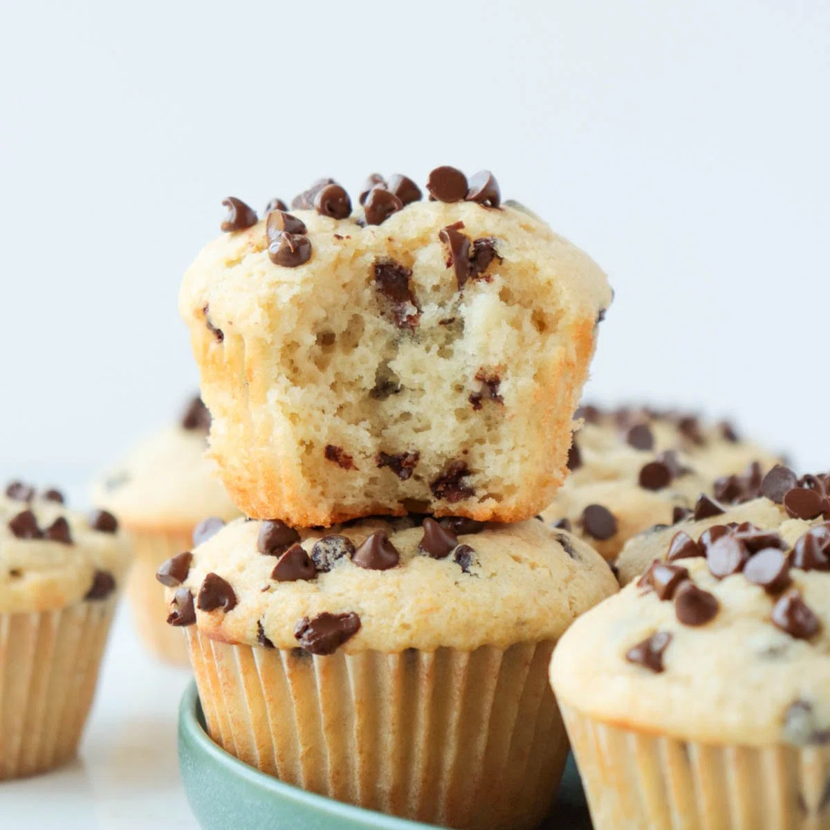 Chocolate Chip Muffins