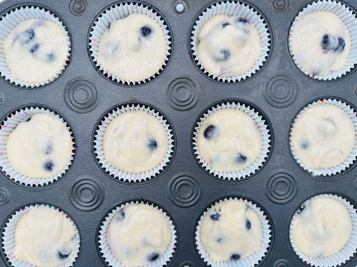 Blueberry Buttermilk Muffins