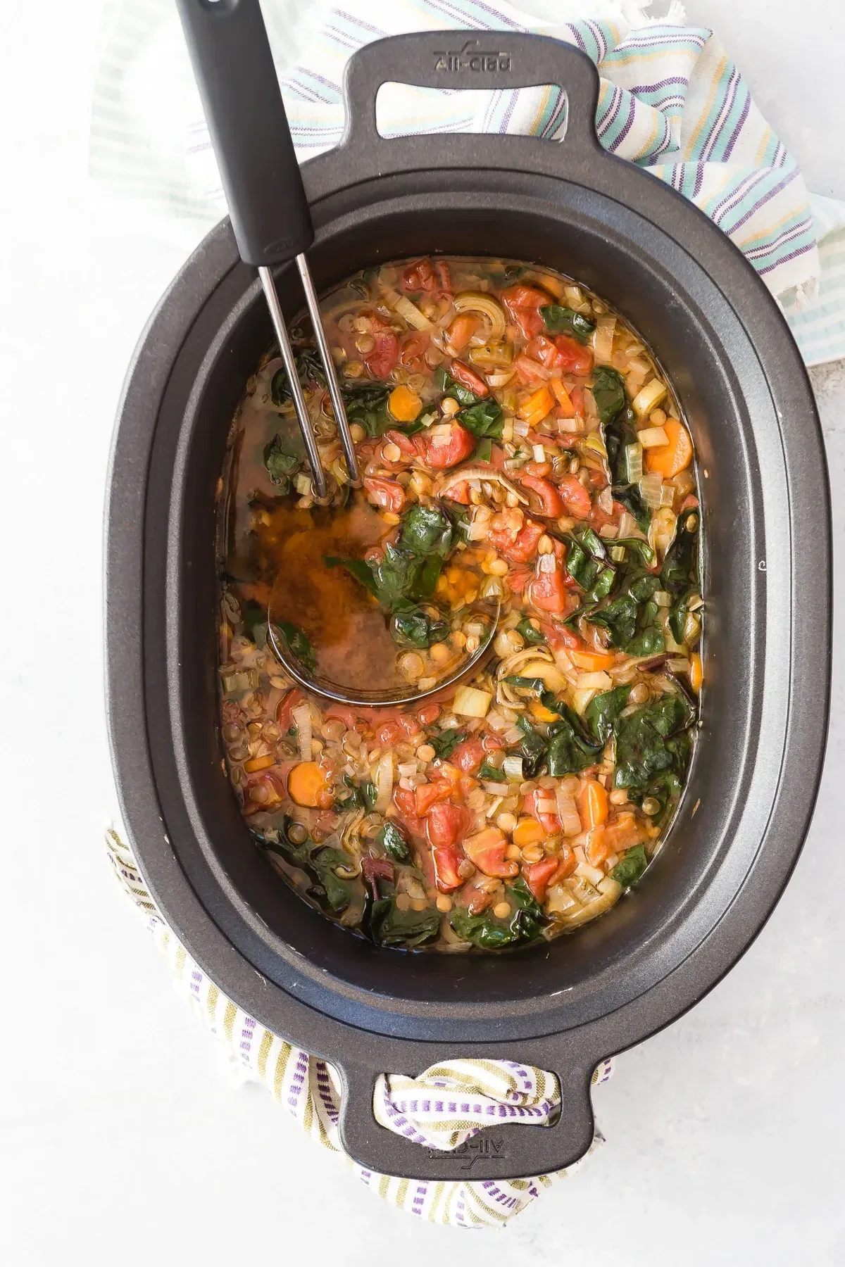 Crock Pot Lentil Veggie Stew