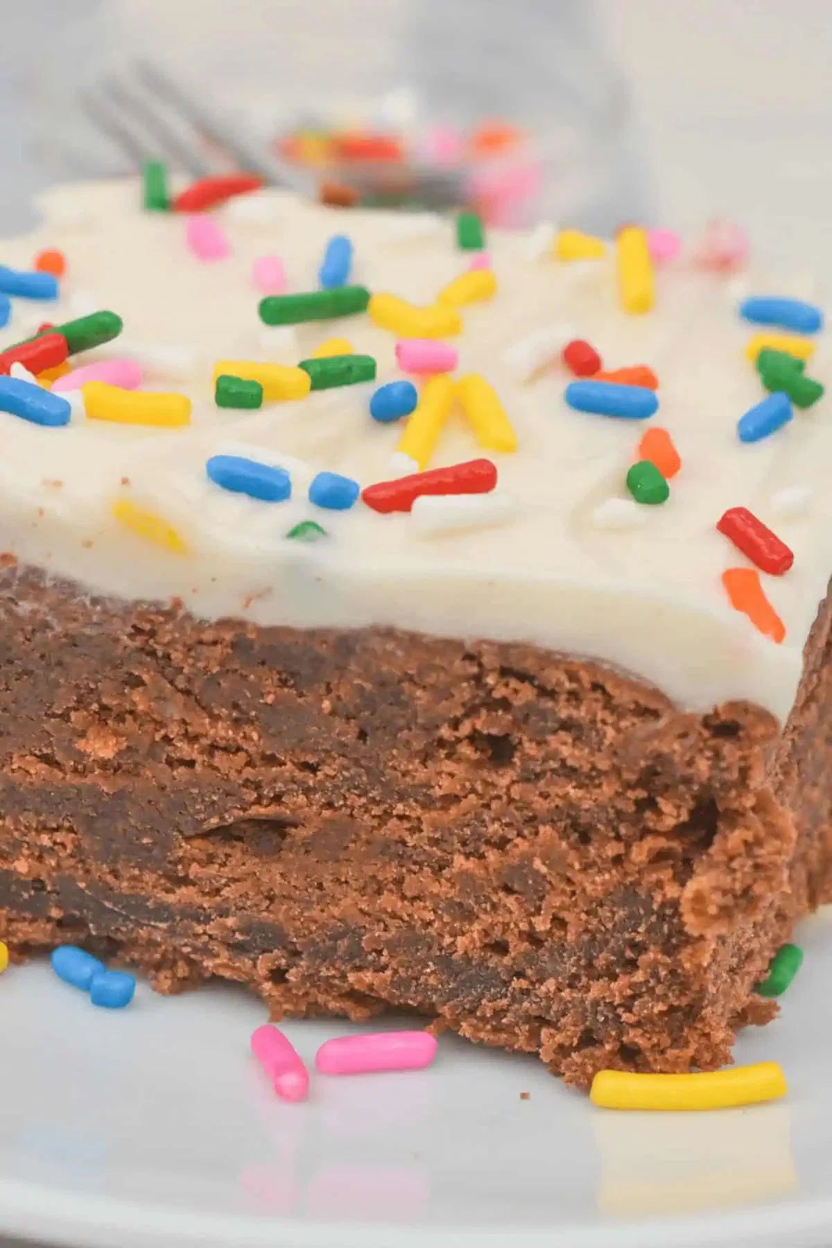 Chocolate Cake with White Icing