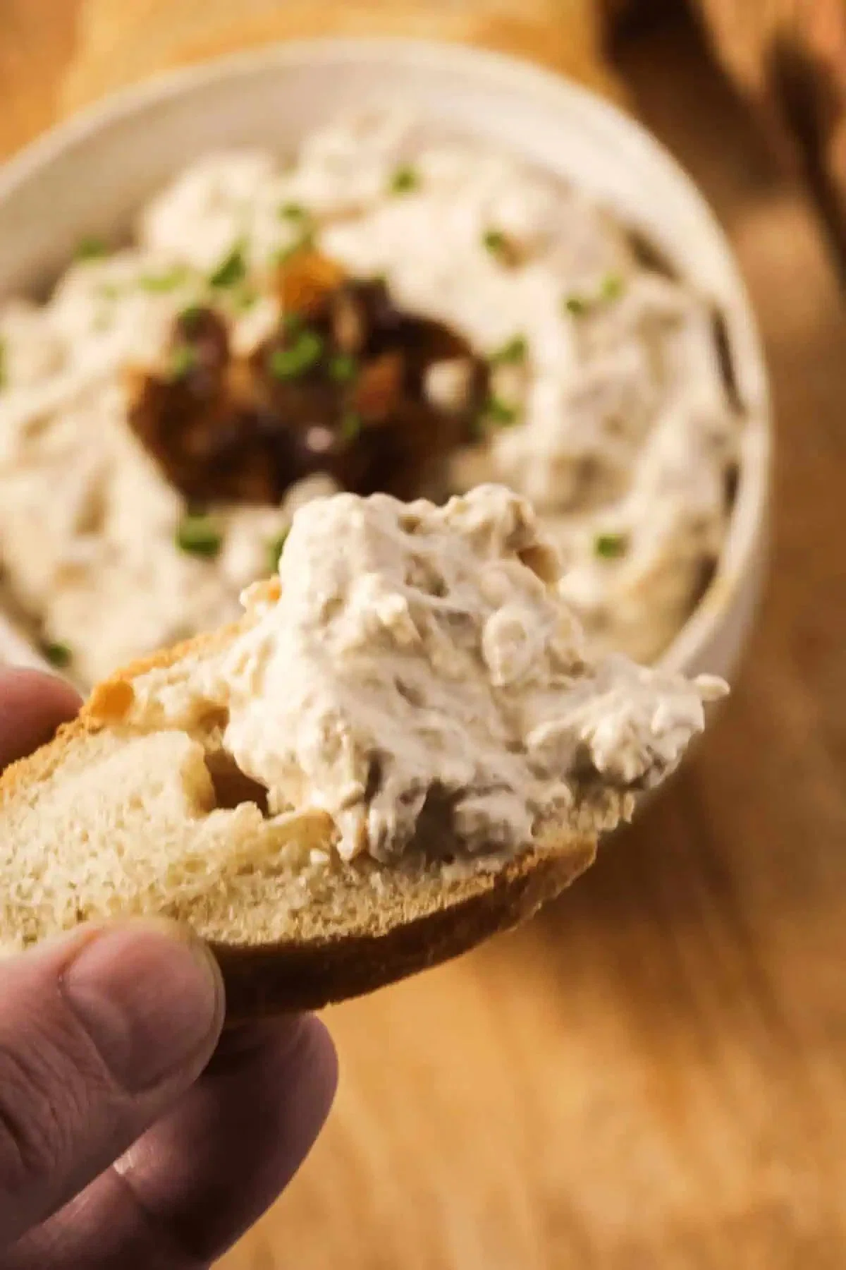 Caramelized Onion Dip